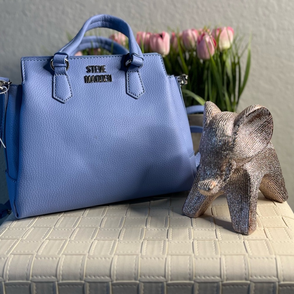 Steve Madden Purse (blue)